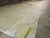 Kevlar Headsail By Doyle in Excellent Condition 30.8' Luff