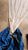 Daisy Staysail for Ericson 36 in Good Condition 45.2' Luff