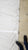 Dacron Main Sail for Ranger 33 by North Sails in Fair Condition 34' Luff
