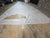 Laminate Main Sail for C Scow by Quantum in Excellent Condition  26.5' Luff