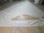 Laminate Main Sail for C Scow by Quantum in Good Condition  26.4' Luff