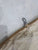 Traditional Style Head Sail in Good Condition 22' Luff