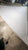 Dacron Headsail in Good Condition 43.5' Luff