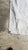 Dacron Main Sail by Anson Sails in Good Condition 38.2' Luff