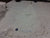 Dacron Main Sail for by Lee Sails in Good Condition 13.7' Luff